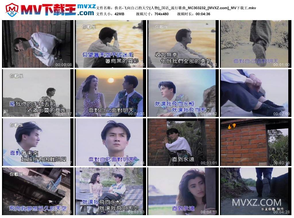 佚名-飞向自己的天空(人物)_国语_流行歌曲_MC303232